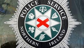 Police investigating after a number of cars were damaged in Derry last night