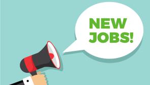 Foyle MP welcomes 300 new FinTrU jobs