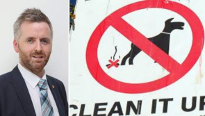 Litter enforcement company say dog fouling is 'council's problem'