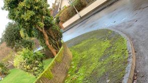Mount Pleasant footpaths hit by moss growth