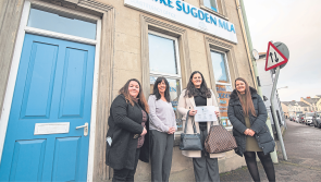 Donations sought for County Derry handbag appeal