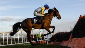 Horse racing tips for Saturday's card at Naas 