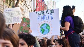Young people in Ireland invited to take part in European project to relieve eco-anxieties