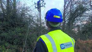 Bird strike confirmed as reason thousands of Irish homes had power cut on Christmas Day