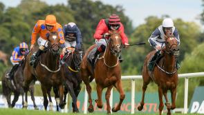 RACING: The horses worth a bet as the flat returns to Leopardstown this weekend