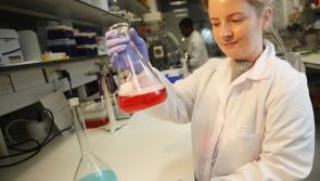 County Derry scientist takes on six-figure research project
