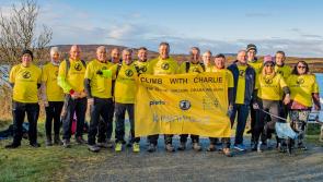 Local walkers support 'Climb with Charlie'