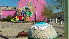 Nature knitters needed to help brighten Limavady 