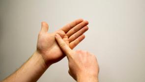 Derry's Peace Garden to host unique Sign Language event