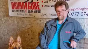 County Derry dog trainer nominated for prestigious NI Pet Award