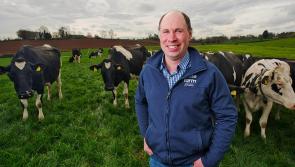 County Derry farmer recognised in NI awards