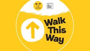 Derry owners urged to ‘Walk this Way’ to the nearest dog bin
