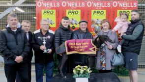 Derry Greyhounds: Peace reigns supreme on Memorial Gala Night at Brandywell