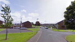 Two petrol bombs thrown at a house in County Derry