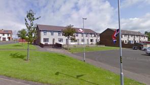 Petrol bombs thrown at a house in County Derry