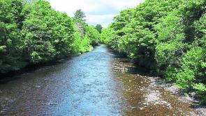 As temperatures soar, loughs Agency issues advice to local anglers