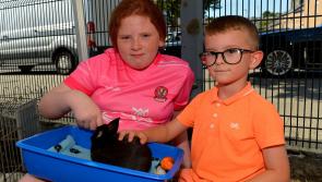 IN PICTURES: Big Bog Barbecue as part of Derry Féile