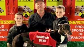 Derry Greyhounds: Bella and Syd land a terrific double for Georgina Gibbons