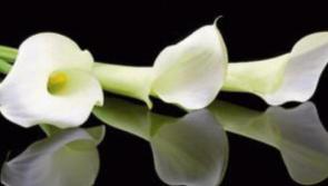 Derry Death Notices - Sunday, 9th October, 2022