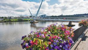 Blooming marvellous! Derry secures top spot in Ulster in Bloom awards