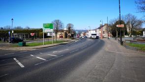 Co Derry dentist plagued by dog fouling as litter scheme issues no fines in the town