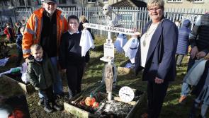 IN PICTURES: Bunscoil Cholmcille Halloween event