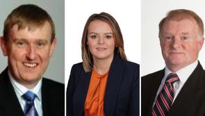 Council's Irish passport proposal sparks unionist backlash
