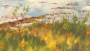 In Sunshine or in Shadow at Eden Place Arts' Centre