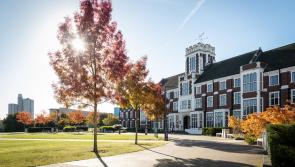 Magherafelt Contractor Begins Construction at English University 