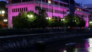Derry council buildings to light up purple for Holocaust Memorial Day 2023