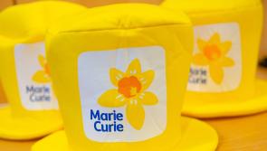 Great Daffodil Appeal Volunteers needed by Marie Curie