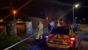 Calls for end to Derry shootings