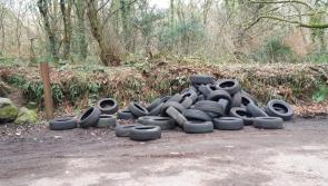 Donegal council called on to take action after latest illegal dumping incident in Muff