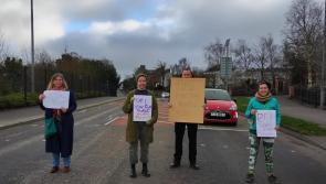 Pothole protest on Northland Road