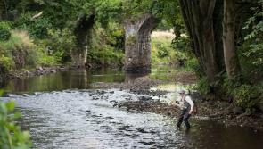 Public consultation launched in Derry for angling and fisheries improvement in Foyle