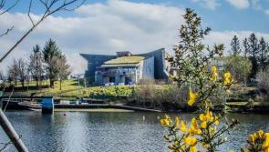 Nature Therapy on your doorstep in Creggan Country Park
