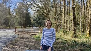Councillor Córa Corry welcomes Derrynoid forest spruce up by Council