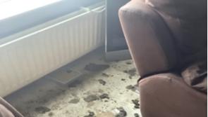 Derry Court: Woman convicted of causing unnecessary suffering to German Shepherd dogs