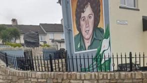 George McBrearty commemoration in Creggan Tribute Garden