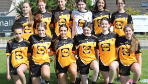 IN PICTURES: Fun in the sun at Pairc Colmcille for Caolán McCrossan Commemorative Blitz