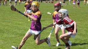 'He wanted the wains to have a hurl in their hands from whatever age and to enjoy it'