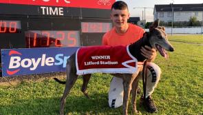 Lifford Greyhounds: Derry owned dog breaks track record