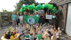 Derry nursery named 'Eco-School of the Year'