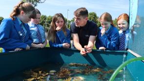 IN PICTURES: Enthusiastic Derry students embrace Loughs Agency's Water Warriors