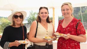 IN PICTURES: Foyle Hospice 'Midsummer Mingle' on the grounds of Derry's Brook Hall Estate