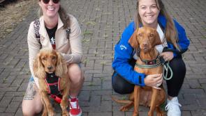 IN PICTURES: Hurt hold annual ‘Paws For Thought’ doggy walk