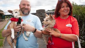 Great turnout for Derry charity's annual ‘Paws For Thought’ doggy walk