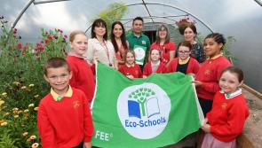 Derry school rewarded with 'Eco Green Flag' status