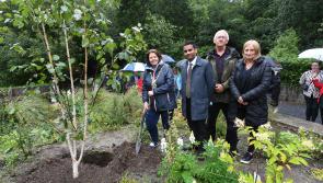 Trees planted in Derry to remember Srebrenica genocide victims