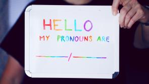 Question of pronoun inclusion across all government departments sparks Dáil discussion